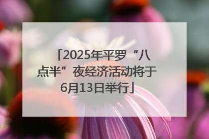 2025年平罗“八点半”夜经济活动将于6月13日举行