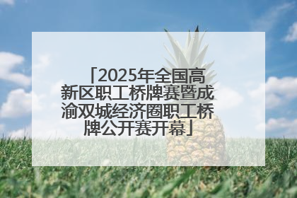 2025年全国高新区职工桥牌赛暨成渝双城经济圈职工桥牌公开赛开幕