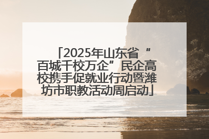 2025年山东省“百城千校万企”民企高校携手促就业行动暨潍坊市职教活动周启动