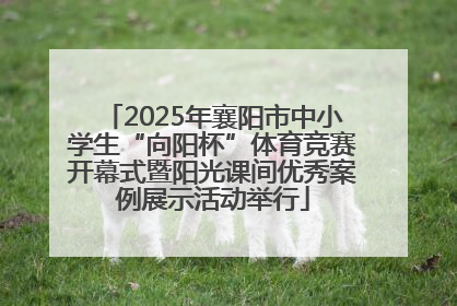 2025年襄阳市中小学生“向阳杯”体育竞赛开幕式暨阳光课间优秀案例展示活动举行