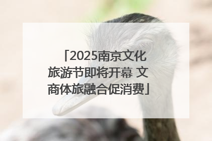 2025南京文化旅游节即将开幕 文商体旅融合促消费