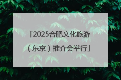 2025合肥文化旅游（东京）推介会举行
