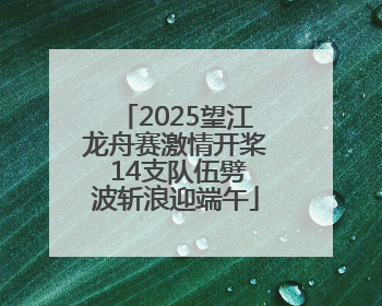 2025望江龙舟赛激情开桨 14支队伍劈波斩浪迎端午
