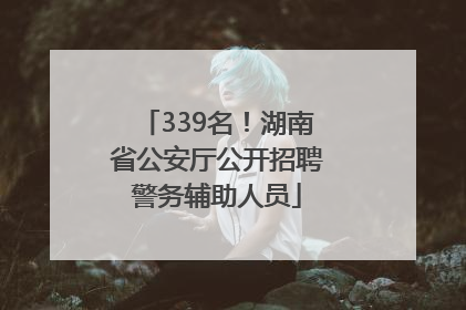 339名！湖南省公安厅公开招聘警务辅助人员