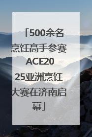 500余名烹饪高手参赛 ACE2025亚洲烹饪大赛在济南启幕