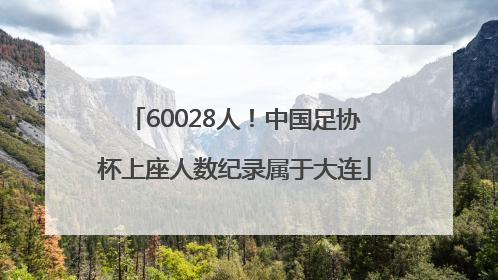 60028人！中国足协杯上座人数纪录属于大连