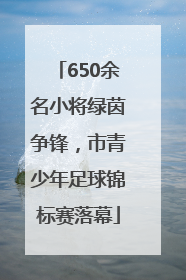650余名小将绿茵争锋，市青少年足球锦标赛落幕