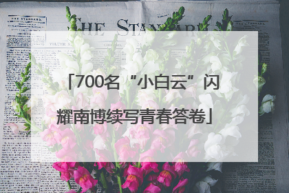 700名“小白云”闪耀南博续写青春答卷