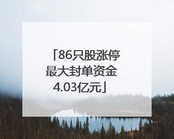 86只股涨停 最大封单资金4.03亿元