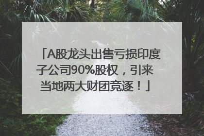A股龙头出售亏损印度子公司90%股权，引来当地两大财团竞逐！