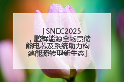 SNEC2025，鹏辉能源全场景储能电芯及系统助力构建能源转型新生态